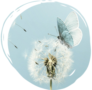 Neurosystemische Integration – Traumasensibles Coaching