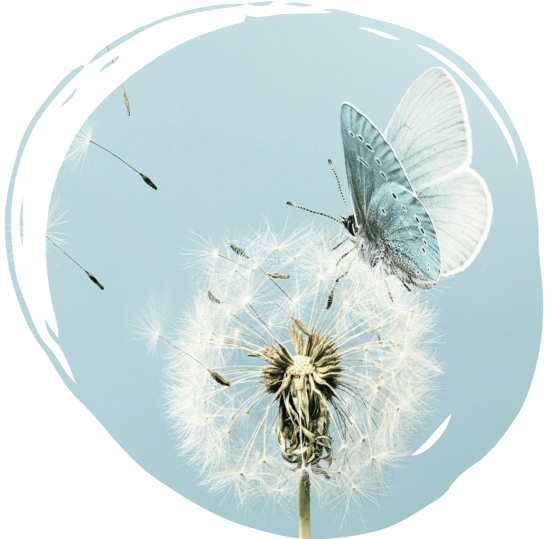 Ganzheitliche und integrative Traumaarbeit